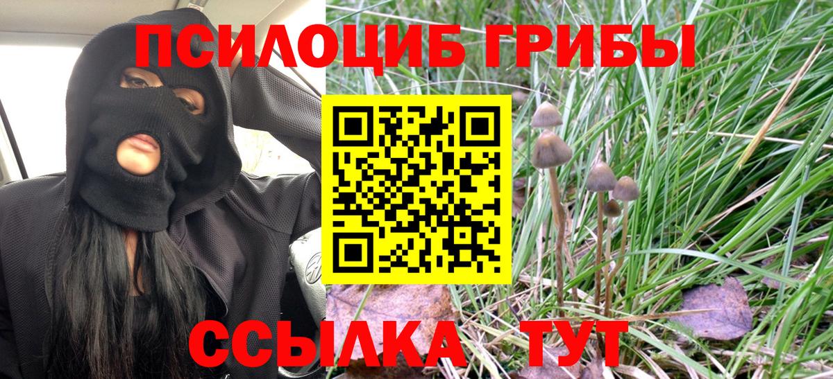 Мурманск  Галлюциногенные грибы мухоморы  Галлюциногенные грибы Magic Shrooms  Вход с VPN 